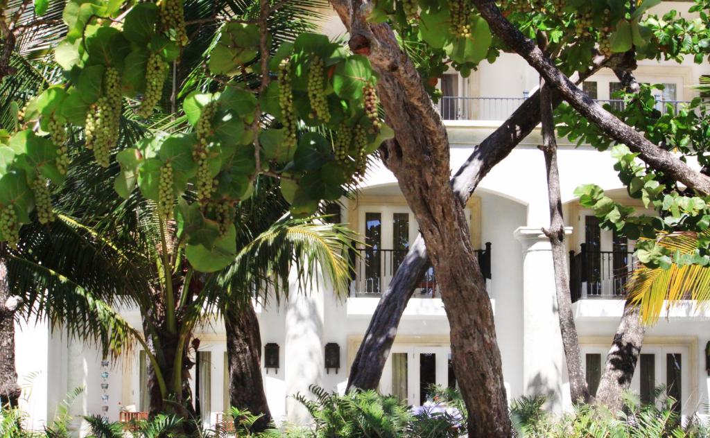 a white building with trees in front of it at Casa Colonial Beach & Spa in San Felipe de Puerto Plata