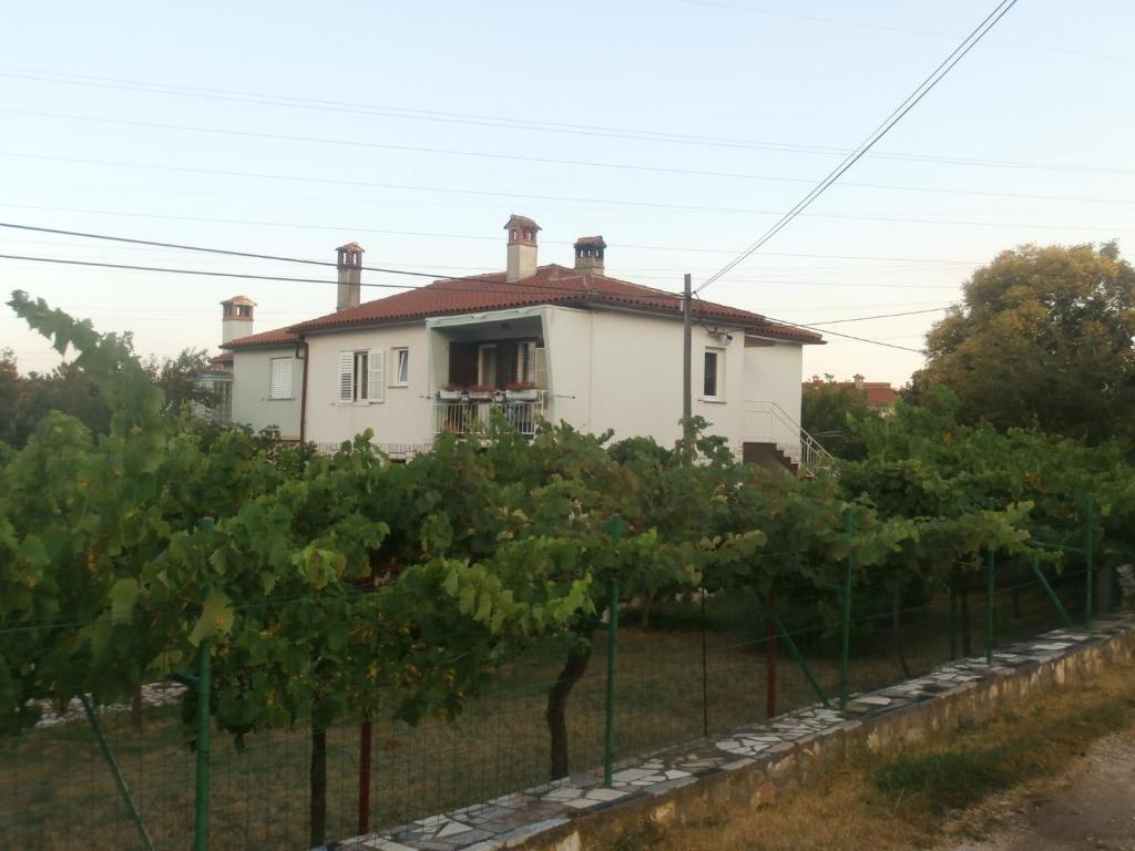 a white house behind a fence with trees at Apartment Gabi in Labin