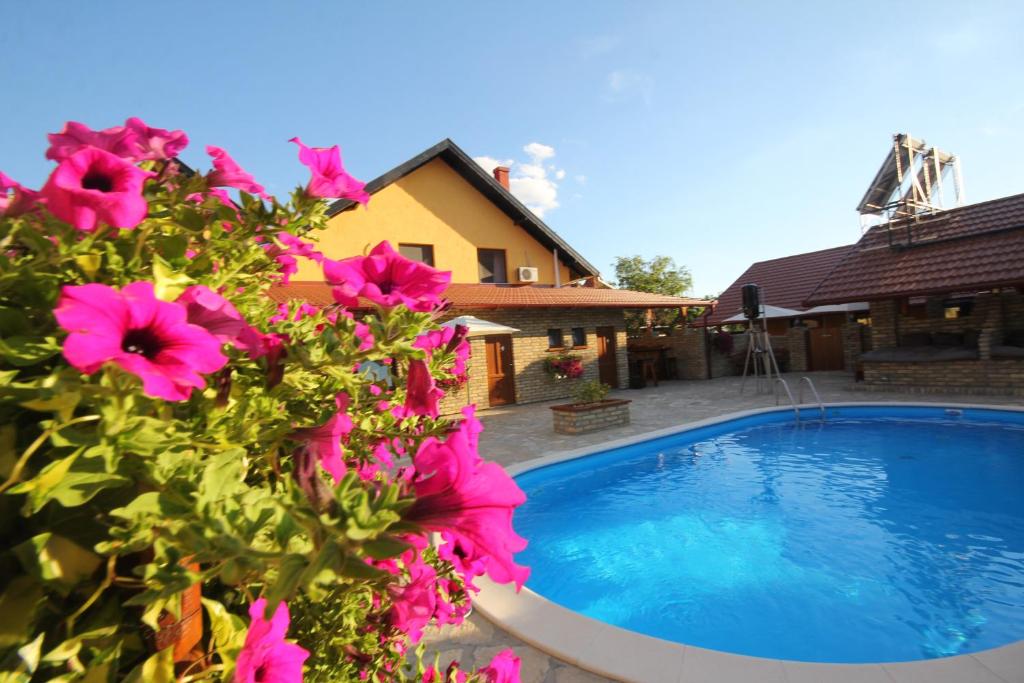 dom z basenem i różowymi kwiatami w obiekcie Guest House Vila Alexandar w mieście Palić