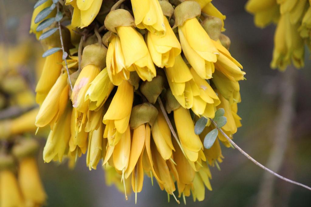 Tui Hideaway - Resim 10