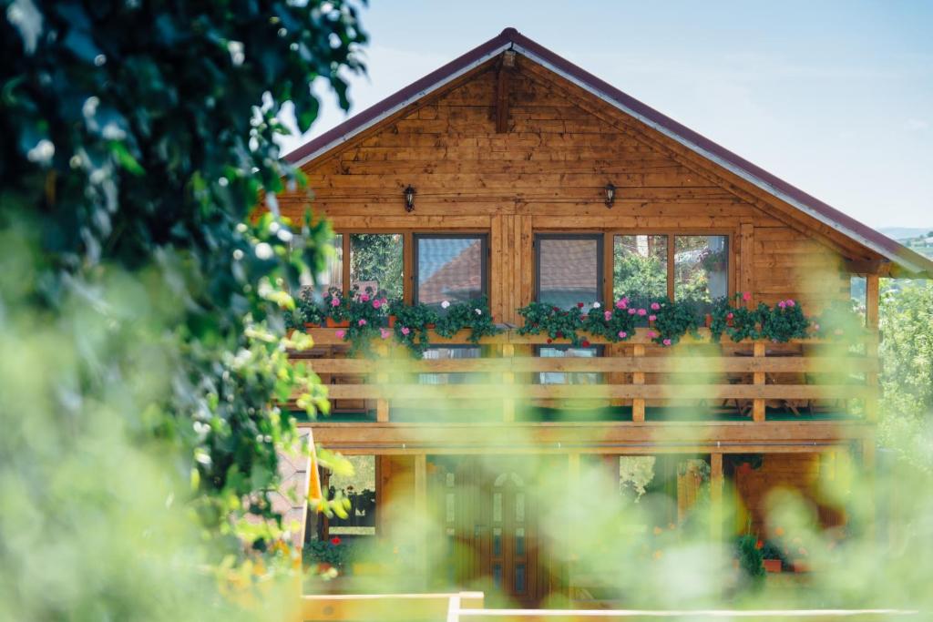 Zahrada ubytování Casa Gherman