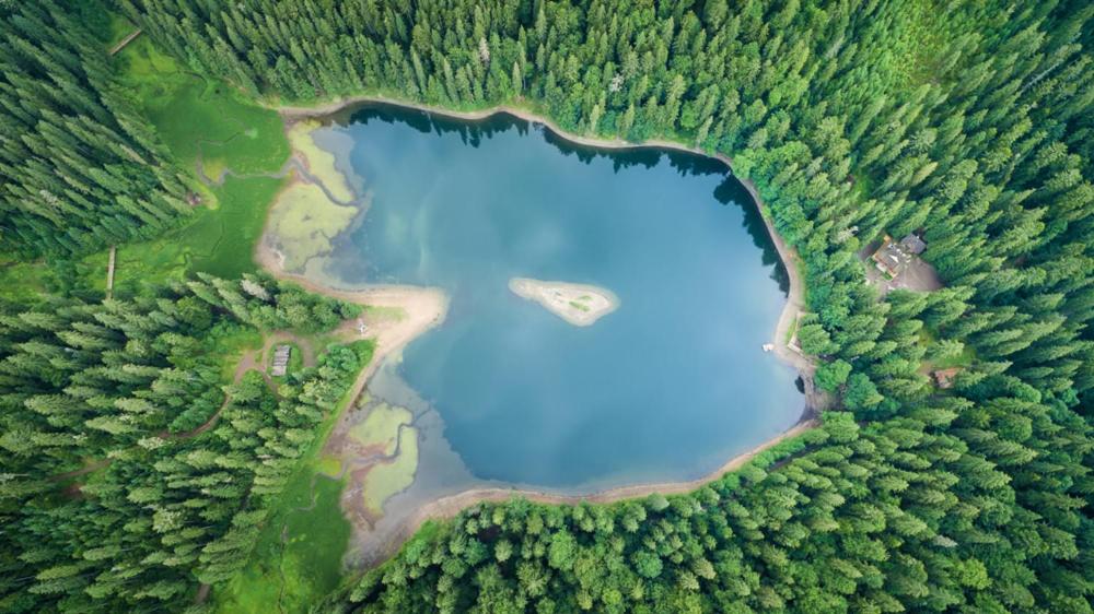 an aerial view of a lake in a forest at Котедж Синевир in Synevyr