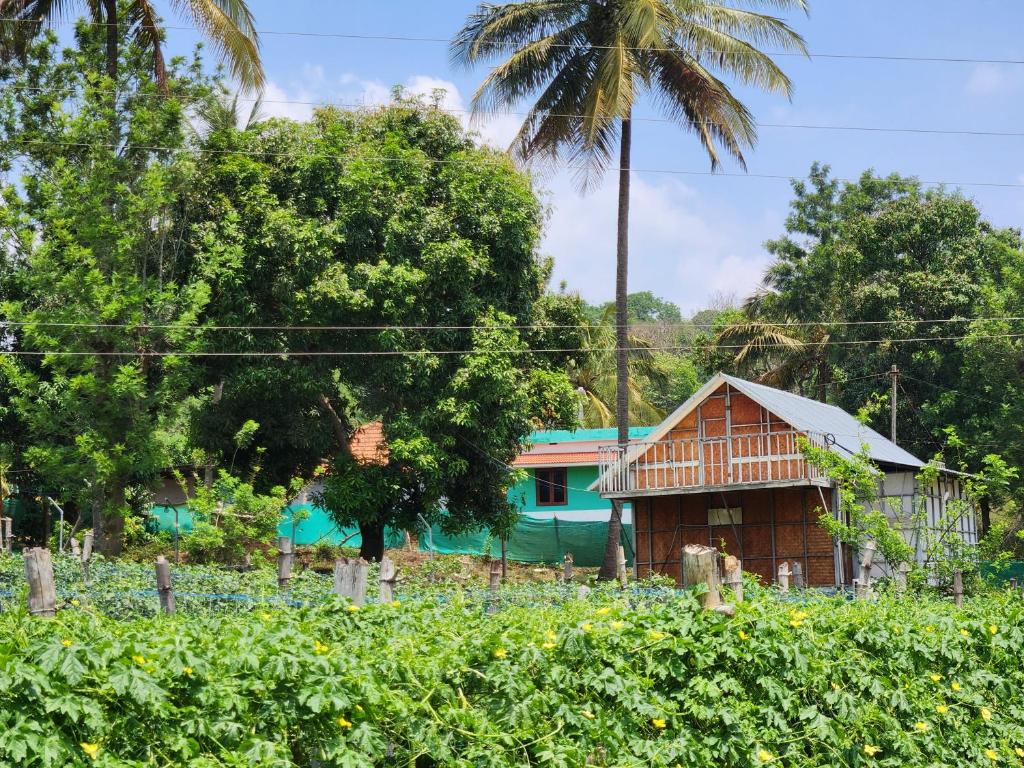 a house in a field with a palm tree at Tusker Valley Bamboo Room Mudumalai by Privacy Homes in Mudumalai National Park