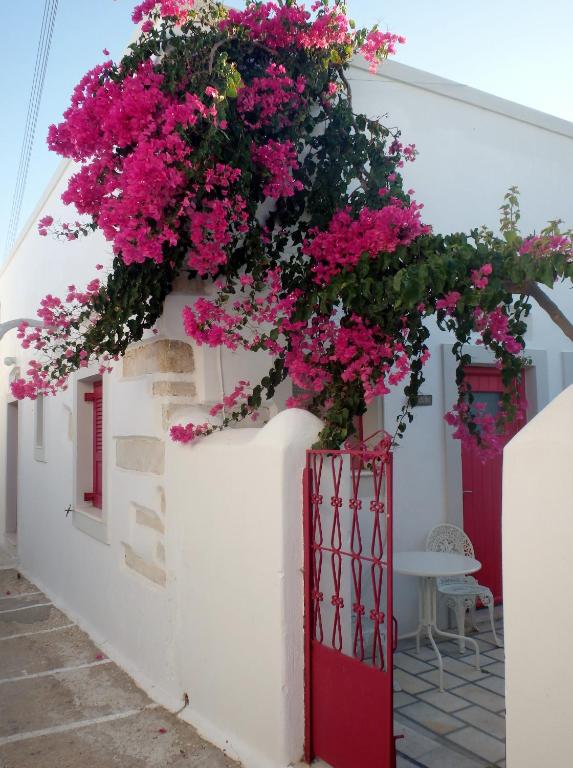 a white wall with pink flowers and a red door at Margo Antiparos in Antiparos