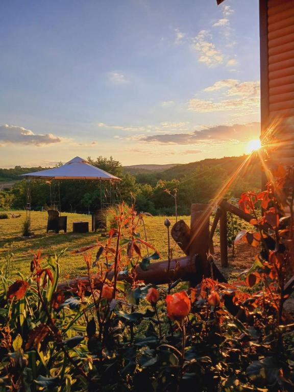 a sunset in a field with the sun shining at Sunny Side Fruska Gora- apartman A in Velika Remeta