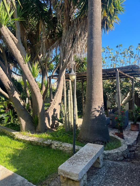 a park with a bench and palm trees at TERRA DI MARE LOC. TURISTICA in Vignacastrisi