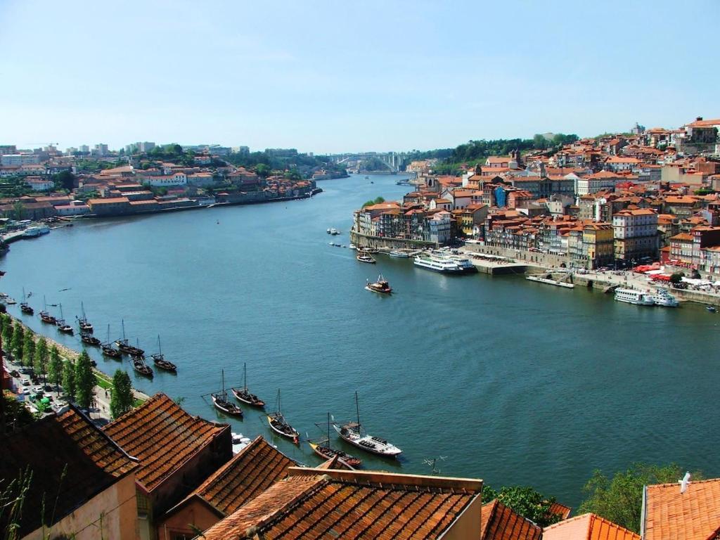 Stunning Designer Flat with Balcony Heart of Porto