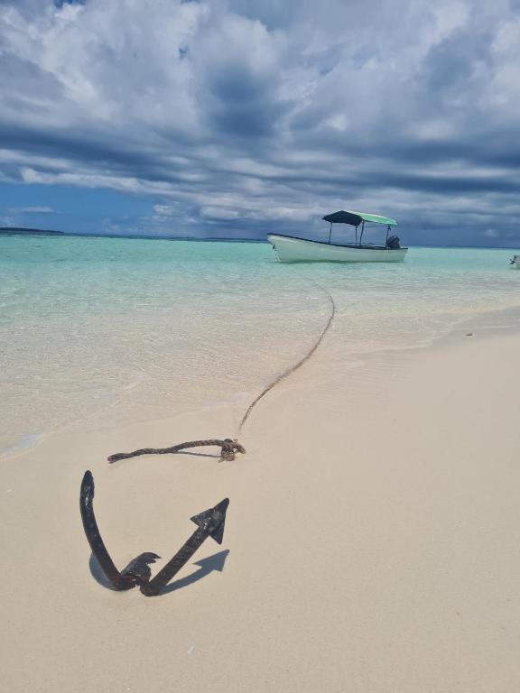 a boat in the water on a beach at Zanzi coconut house in Jambiani