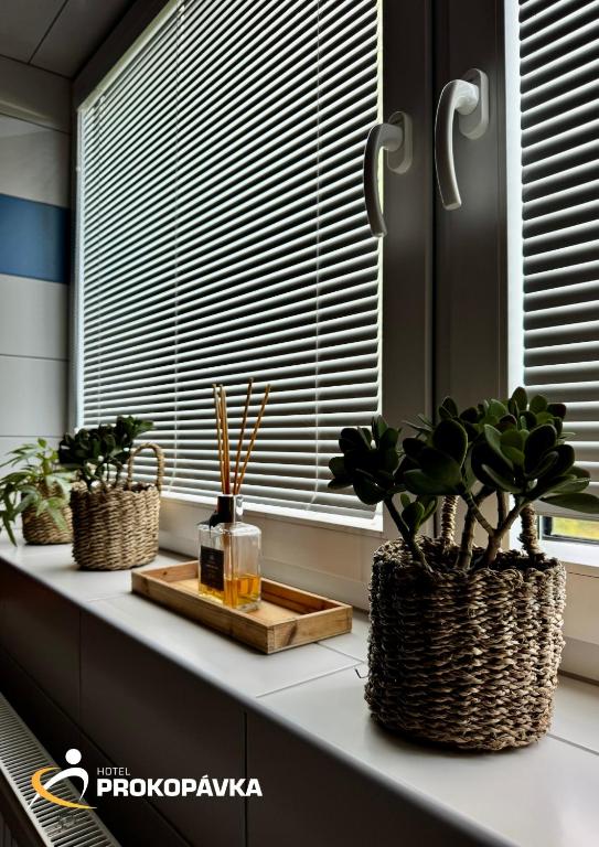 Hotel Prokopávka - Resim 23
