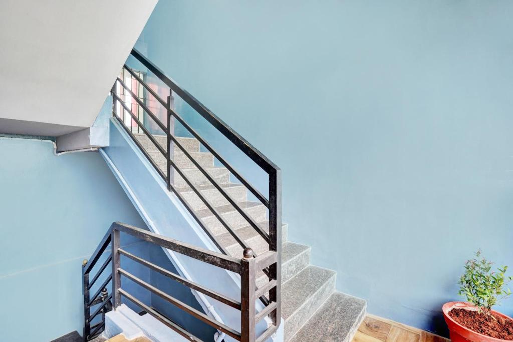 班加罗尔Hotel O Harsha Inn的一栋房子的楼梯，墙壁是蓝色的，还有一盆盆栽