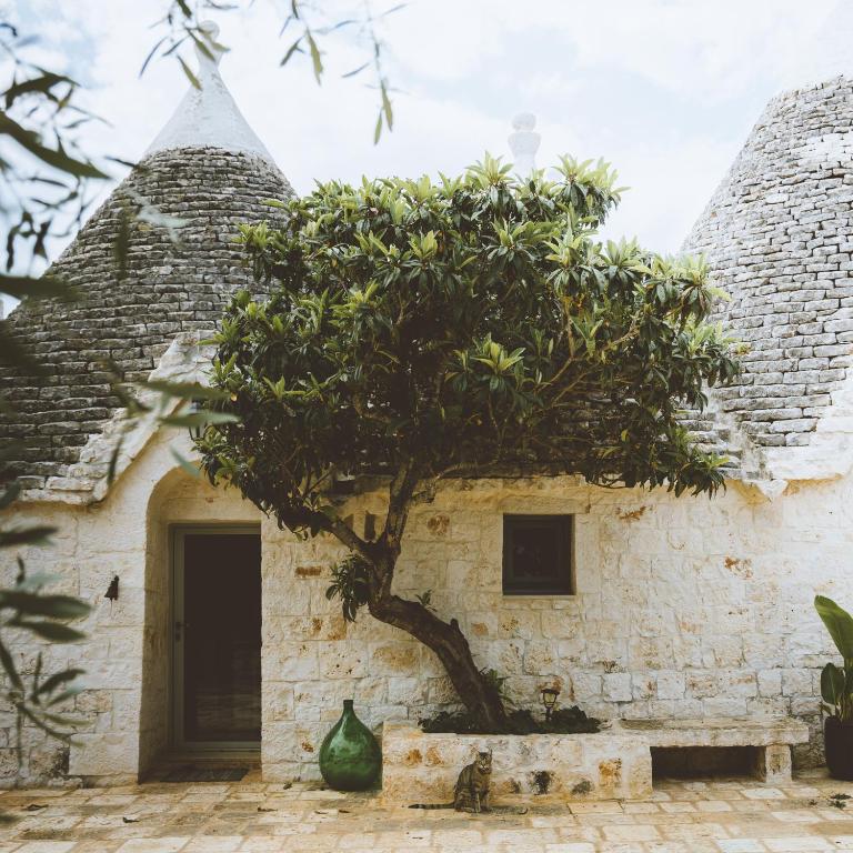 莫诺波利TRULIVO的一栋前面有棵树的建筑物