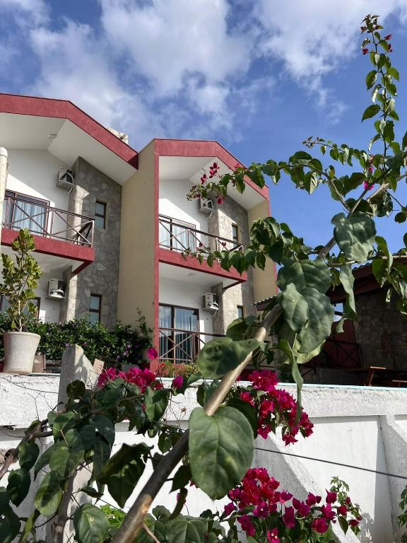a building with pink flowers in front of it at Varandas do Vale Chalé in Monte das Gameleiras