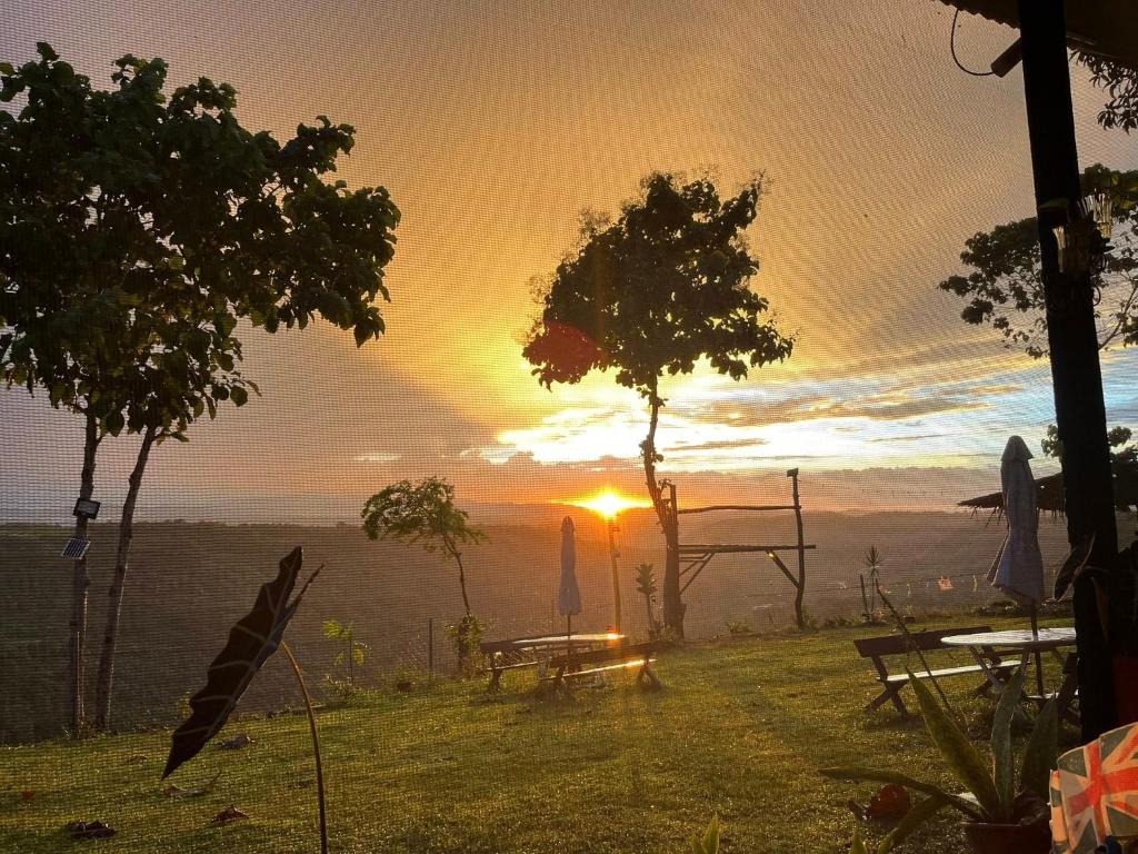 Una puesta de sol con una mesa y un árbol en un campo en Thrill Playgrounds & Tipi Cafe, en Libona