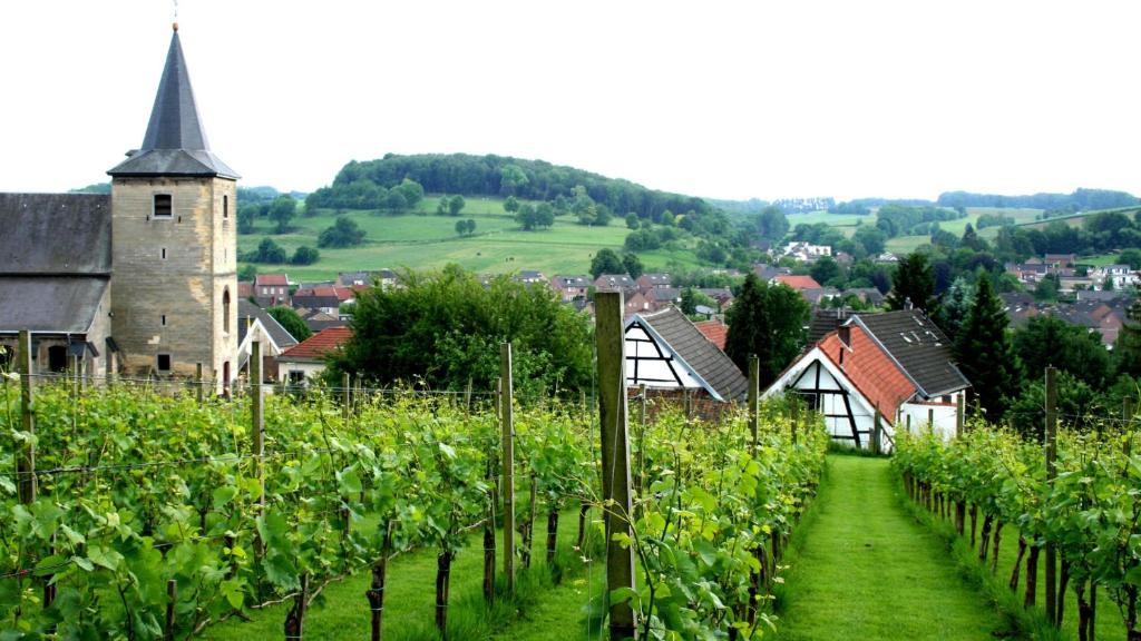 Parkhotel Valkenburg - Resim 43