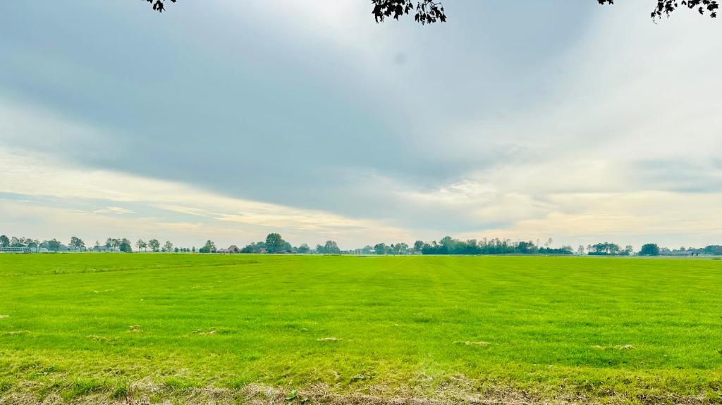 un campo de césped verde con árboles en el fondo en Rust en Meer, en Zweins