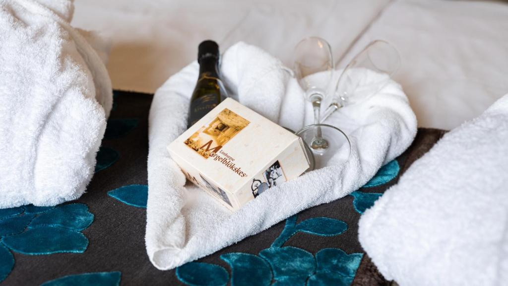 Villa Valkenburg - Resim 15