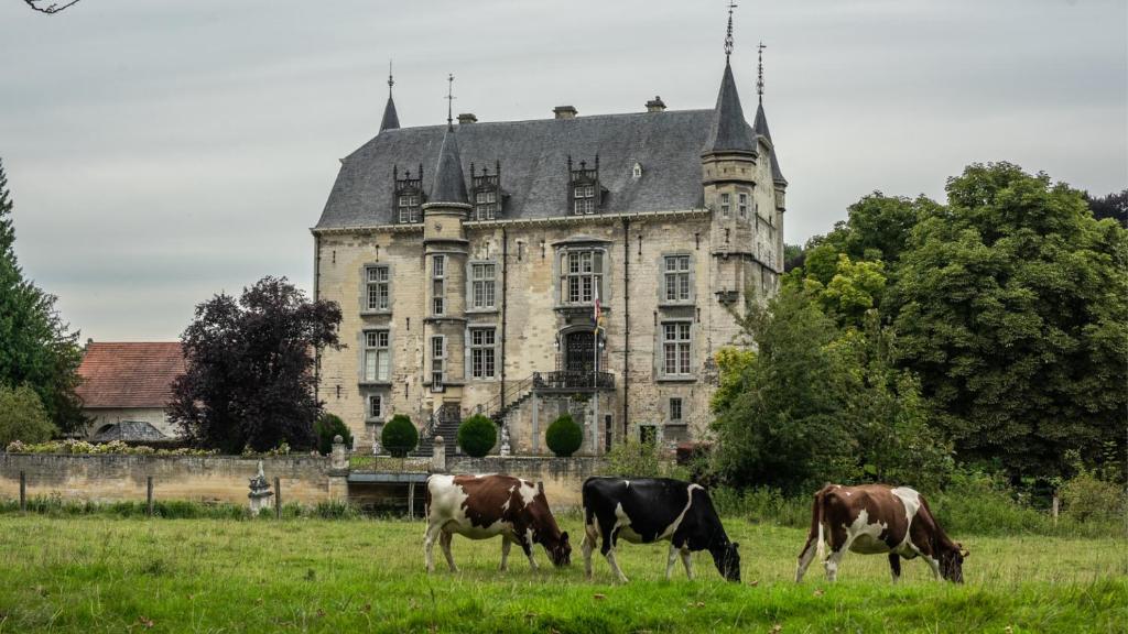 Villa Valkenburg - Resim 5