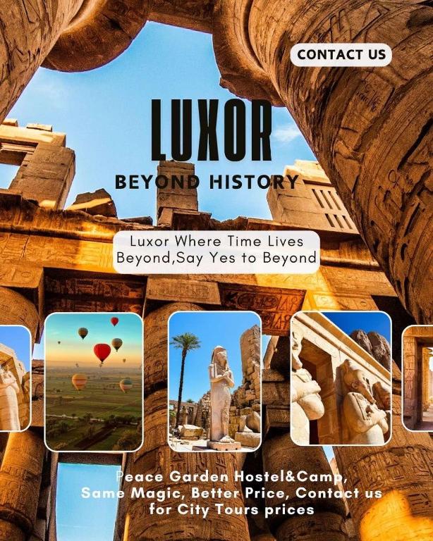 peace garden hostel & camp - 11