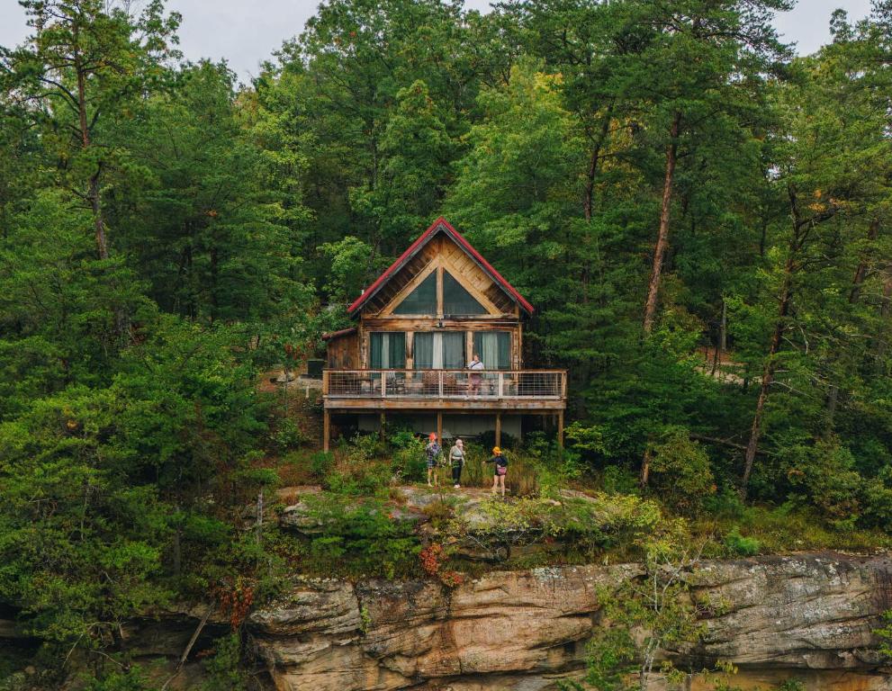 RogersにあるThe Cliffside Cabin - Stunning Views in Red River Gorgeの森の崖の上にある家