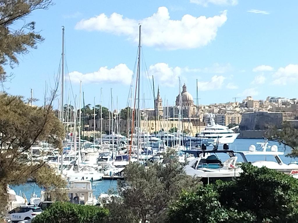 グジラにあるStunning Seafront Apartment with Marina and Valletta views in Maltaの港にたくさんの船が停泊している