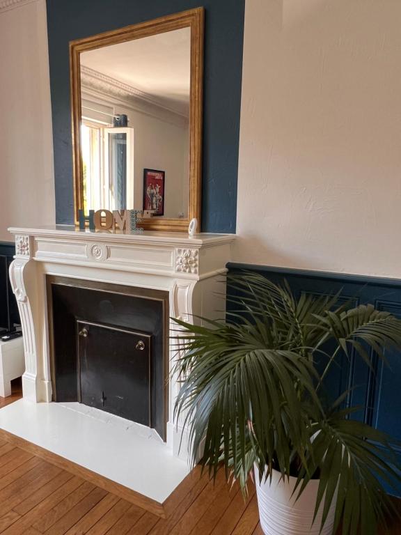 ein Kamin mit einem Spiegel und einer Pflanze in einem Zimmer in der Unterkunft Appartement Coeur du Creusot in Le Creusot