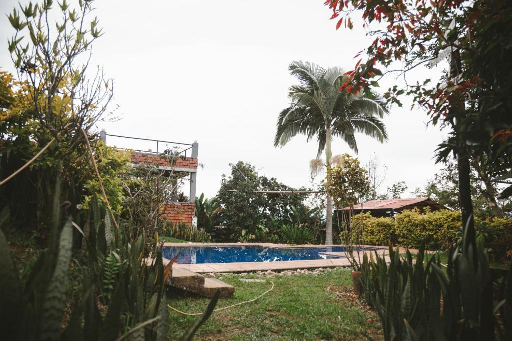 a swimming pool in a garden with a palm tree at APARTAMENTO CAMPESTRE EN EJE CAFETERO in Manizales