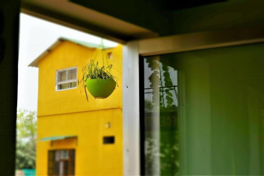 a potted plant hanging from a window with a yellow building at Ranthambhore Bagh Dwar Camp in Khilchipur