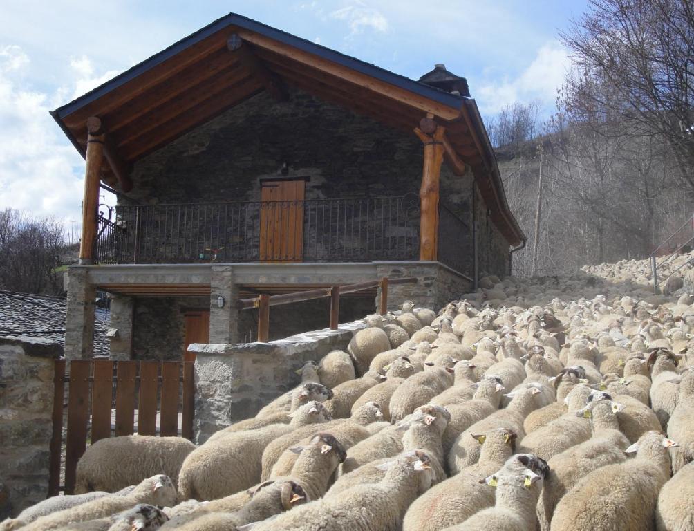 una gran manada de ovejas parada frente a un edificio en La Cabanya de Cal Forn de Serrat, en Queralbs