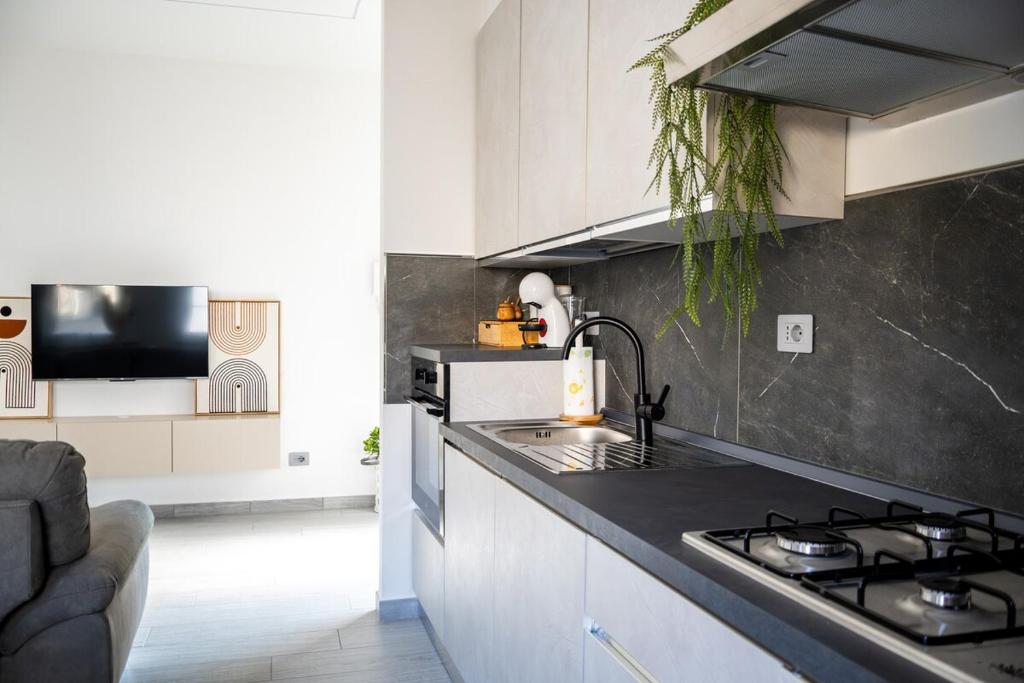 Η κουζίνα ή μικρή κουζίνα στο Luani's Apartments