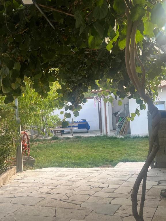 a view of a park with a bench under a tree at EnGaliciaEs - Casa alquiler turistico en ingles! 