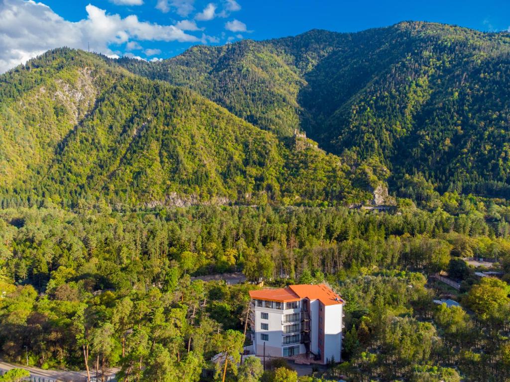 Emerald Borjomi Hotel في بورجومي: اطلالة جوية على مبنى في وسط جبل