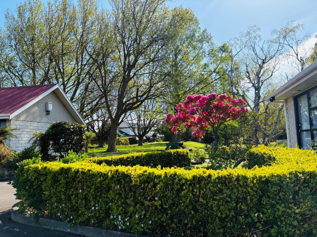 Awatea Park Motel - Resim 13