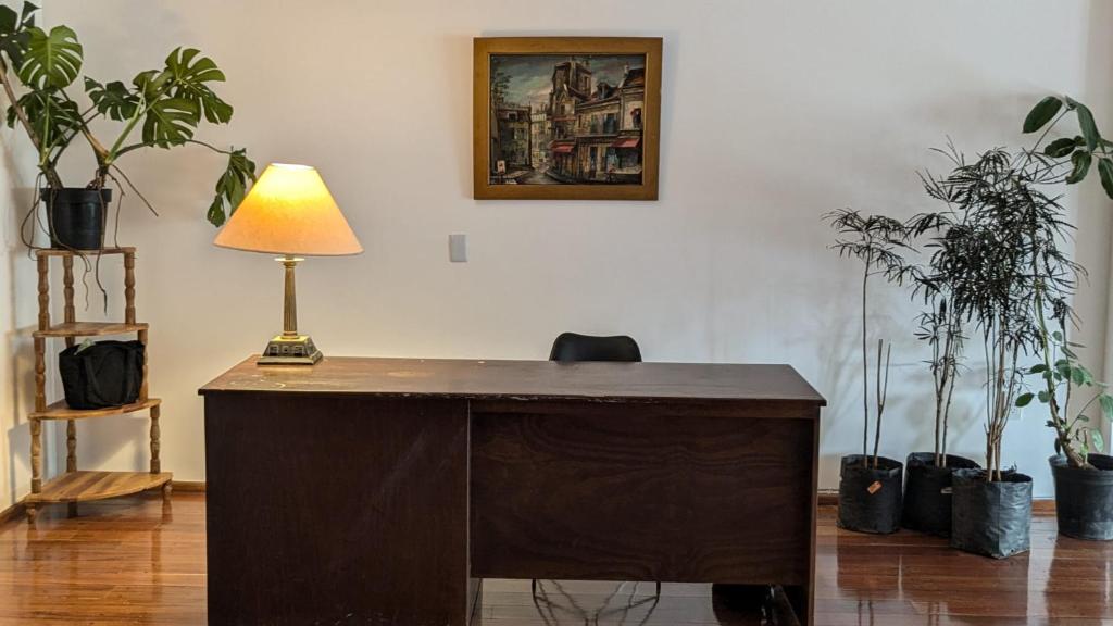 a desk with a lamp on it in a room with plants at Hostal Auditorio in Mexico City