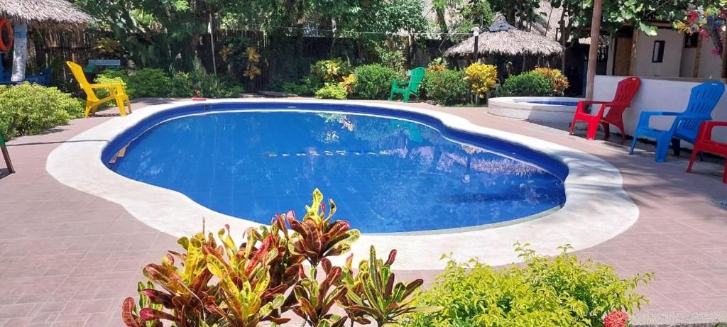 a swimming pool in a yard with colorful chairs and chairs at Hostel casa jungla in Palomino