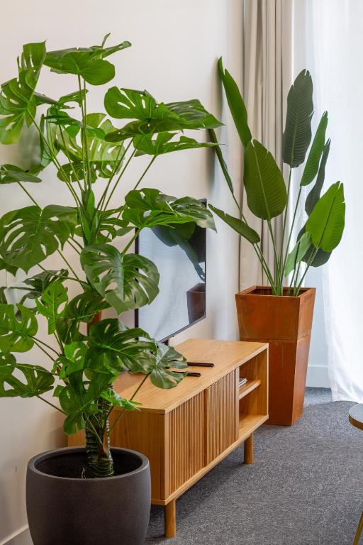 Like A Hotel Room, But Better Single Level Studio - Resim 16