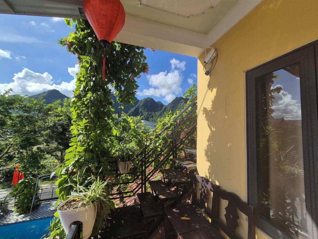 Phong Nha Ecolodge Homestay & Tours - Mountain View - 9