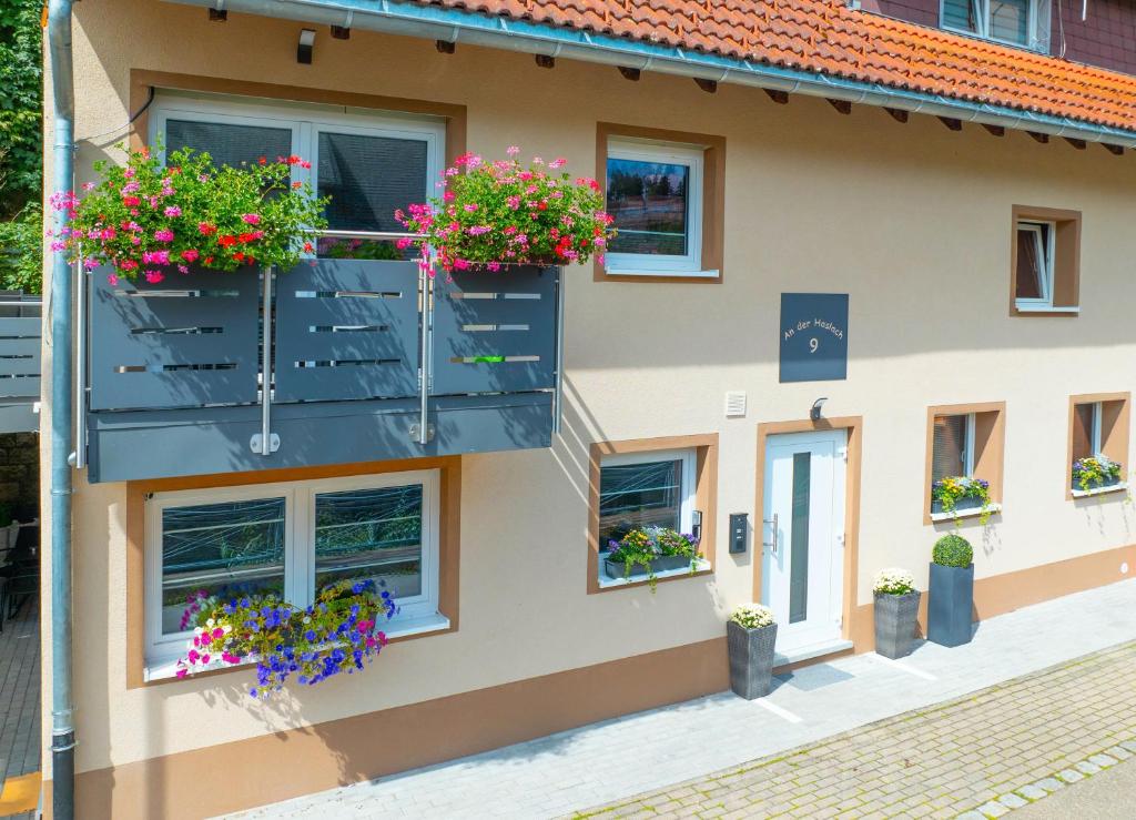 une maison avec des pots de fleurs sur le balcon dans l'établissement Haus an der Haslach, à Lenzkirch