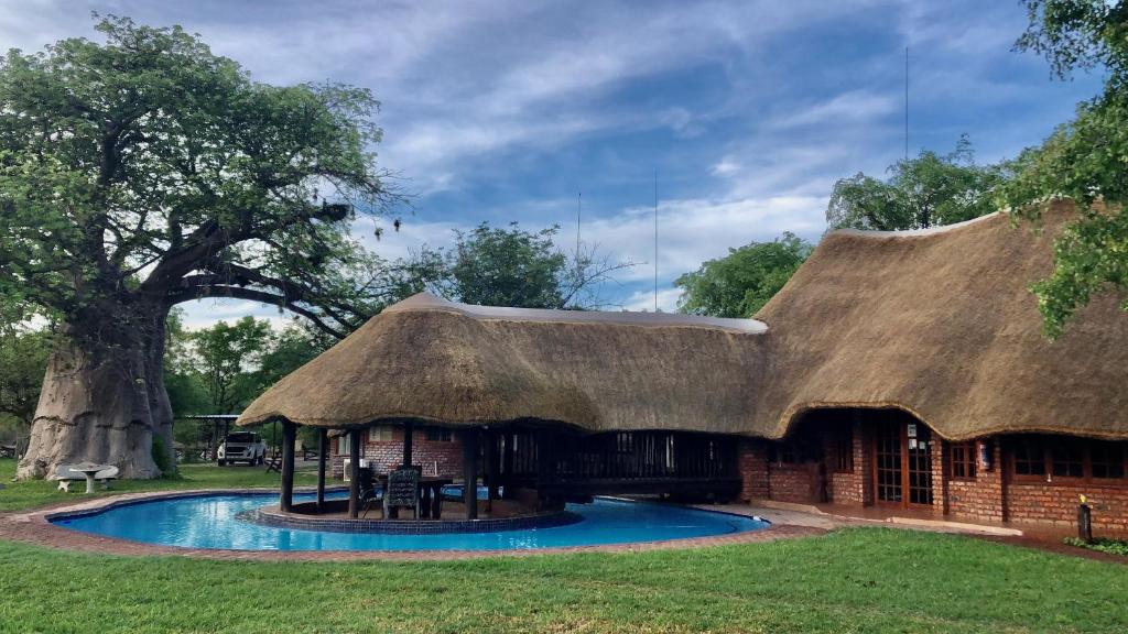 a house with a thatched roof with a swimming pool at Munati B&B in Musina