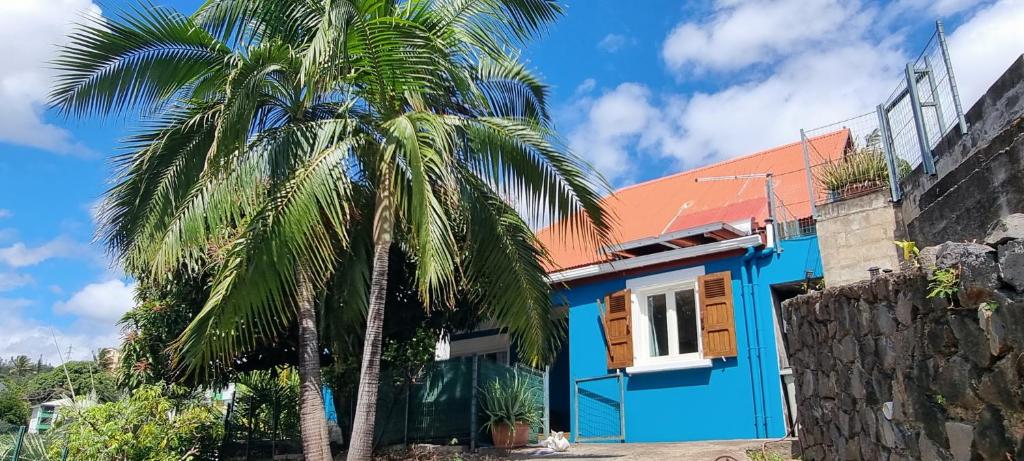 a blue house with a palm tree in front of it at La Kaz Bellepierre in Saint-Denis