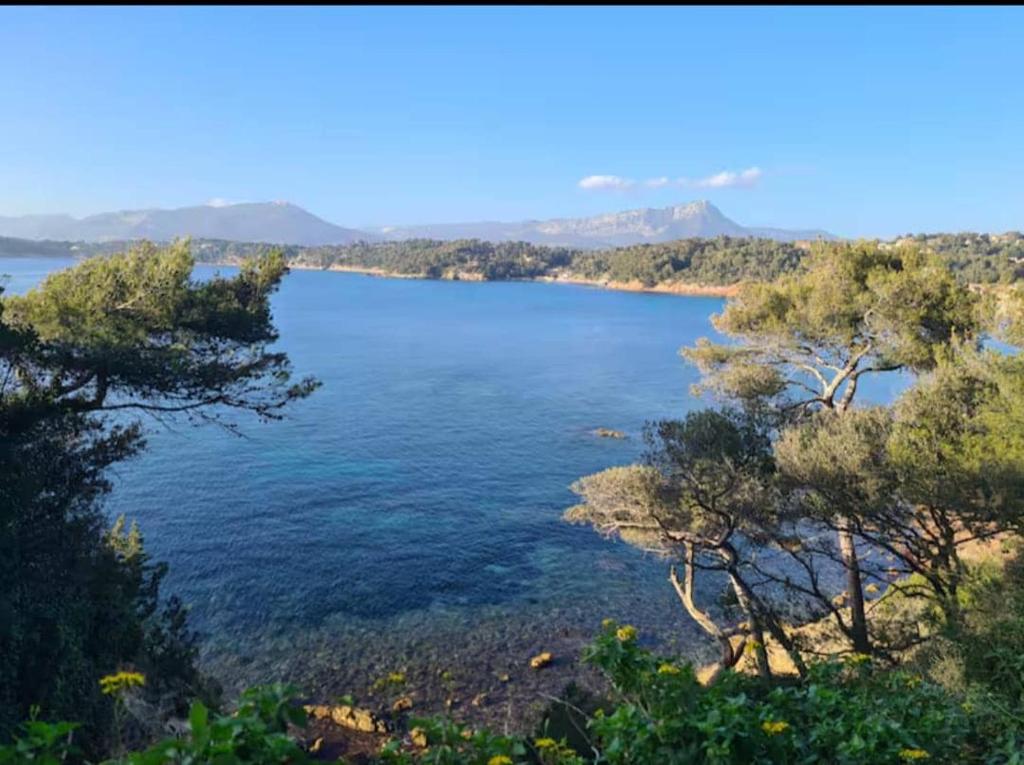 勒普拉代Appartement Hélène 200m plage, piscine et terrain de tennis的树木成荫的大片水景