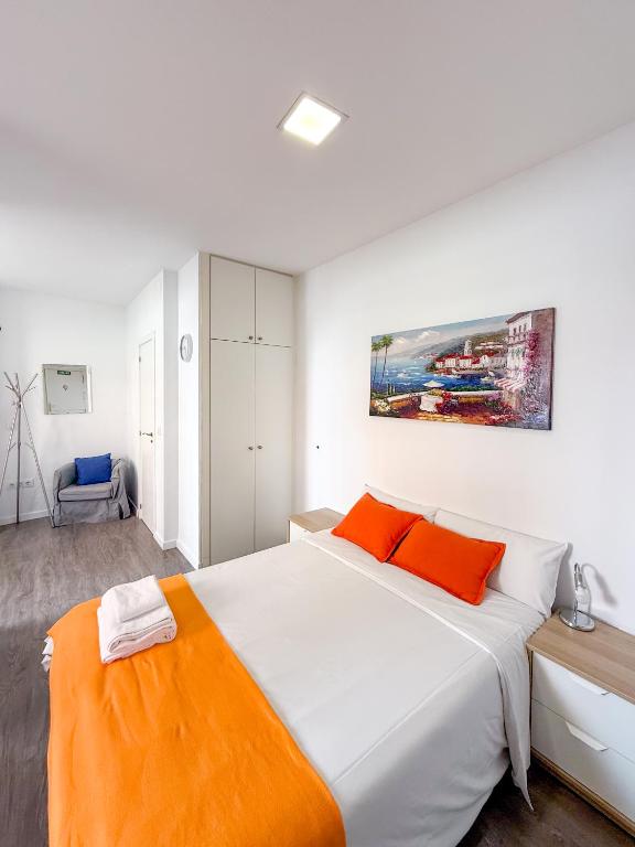 Comodo y agradable estudio en Madrid centro A6