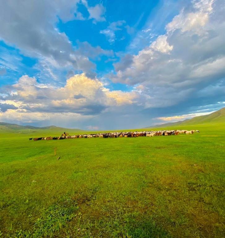 Yurt and Mongolian Ger