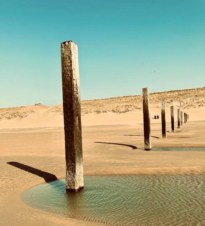 Beachhouse Hotel - Resim 40