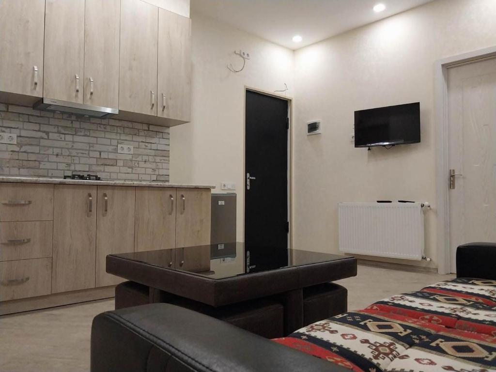 une pièce avec une cuisine et un salon dans l'établissement Apart Fenix, à Stantsiya Mukhiani