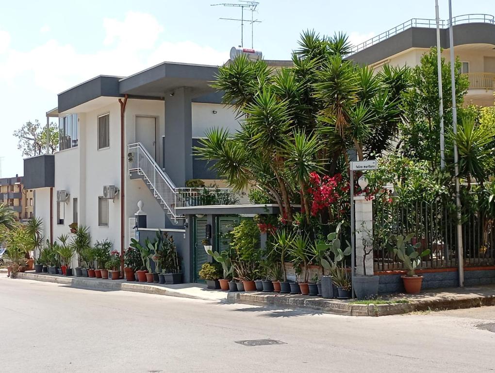 un edificio con palmeras y plantas delante de él en B&B Nonna Rosa, en Castellaneta