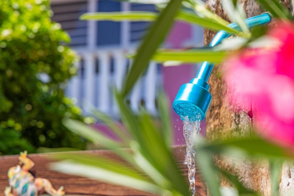 Κήπος έξω από το Appartement Frijberg