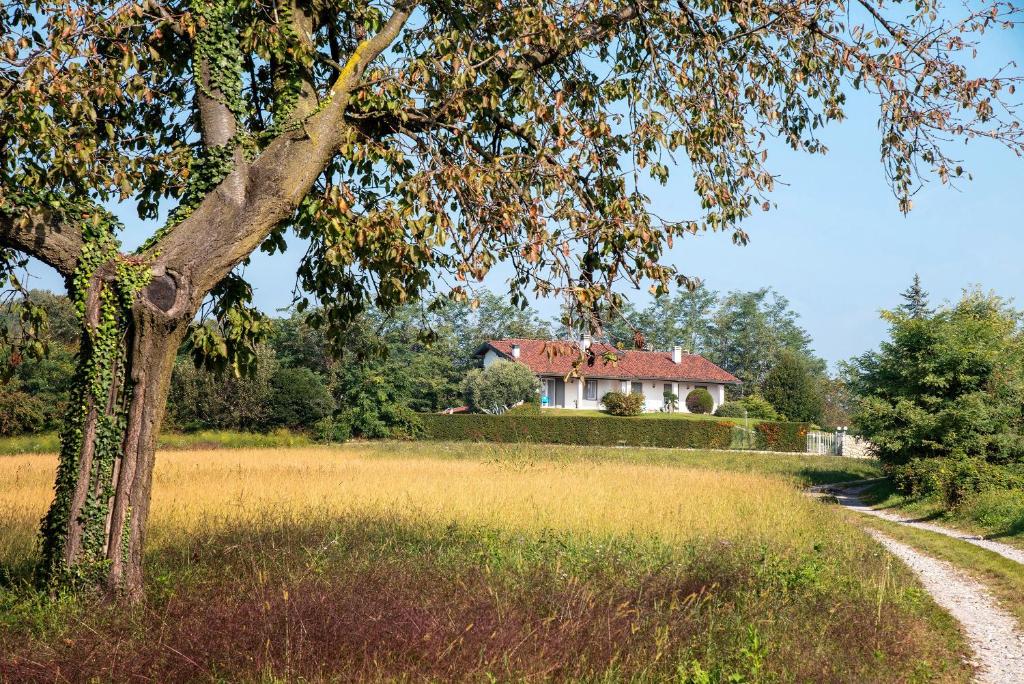 a house in the middle of a field with a tree at Casa Vacanza al Capriano in Cantello