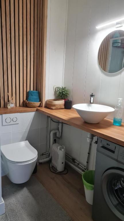a bathroom with a white toilet and a sink at Appartement privatif cozy Euratechnologies in Lille