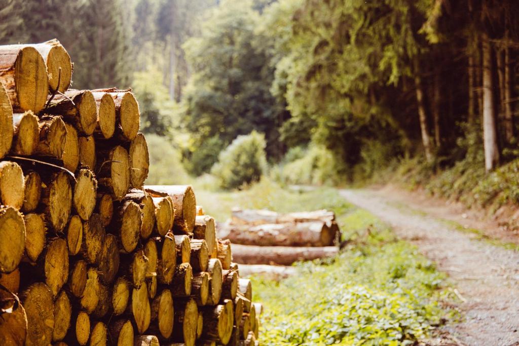 a stack of logs on the side of a dirt road at Hikerscabin Trekkershut natuur in Wintger