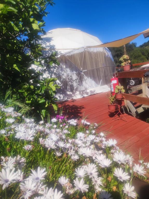 Domo con Hot Tub Piscina Sauna incluido en el precio, Olmué